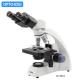 Teaching OPTO-EDU A11.1531 40X Compound Light Microscope