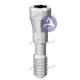 Arum Titanium Angled Screw No.6 (DS010) Compatible with Osstem GS(TS) & Camlog