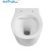 China Sanitwell SWJ1025 Bathroom wc white toilet bowl rimless flush