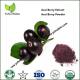 Acai Berry Extract Weight Loss,Acai pulp extract,Acai Berry for Weight Loss,Acai Berry Euterpe Oleracea Fruit Extract