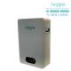 Wall Mounted Solar Back Up Battery 200Ah 10240Wh Home Energy Storage Battery