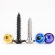 TC4 Titanium Screws Self Tapping Flying Saucer Head Screw For Motorcycle Decoration