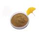 Pharmaceutical Grade Ginkgo Biloba Extract Powder For Health Care