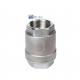 H12W-16P Vertical Spring Check Valve for Customized Multi-Size Stainless Steel Wire Port