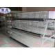 Professional Automatic Layer Chicken Cage For Commercial Chicken Farm