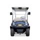 6+2 Seater Electric Golf Sightseeing Car Golf Shuttle Car With AC System  Curtis Motor Controller