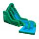 Emerald Green Frog Fun Water Slides , Inflatable Double Rush Slip Wet Slide