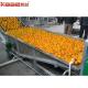 Automatic Fruit Sorting Machine Electronic Fruit Weight Grading Sorting Machine