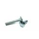 Carbon Steel Stainless Steel Mushroom Round Head Square Neck Bolts DIN603 DIN608 Carriage Bolt