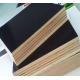 Made in China products Film Faced Plywood For Construction Material