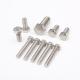 Hot Heading Customization Stainless Steel Bolts DIN ISO Standard