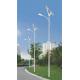 Solar Panel Street Light With Light Source QRSTL Customization for Your Performance