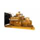 200 Kw Special Design Natural Gas Generator Set Waterproof Canop Less Vibration