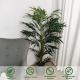 Wholesale Artificial Areca Palm Tree Decoration Areca Tree Plant Customized Artificial Plants Indoor Plant Bonsai