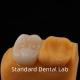 Get the Best Full Contour Zirconia Crown from a Trusted Dental Laboratory in China Molar Teeth
