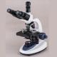 Multi purpose biological microscope BLM-TN300SM