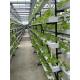 Factory outlet hydroponic system multi-layers growing system save water and eazy growing
