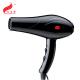 2000W Powerful Low Radiation Hair Dryer Quick Dry For Travel Hotel Salon Home
