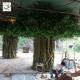 UVG huge banyan artificial decorative trees with hollow trunk for school library landscaping GRE068