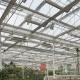 High Light Transmission Glass Hydroponic Greenhouse for Commercial Flower Growing US