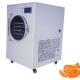 Stainless Steel Fruit Food Vacuum Freeze Dryer Machine 3 Trayers 750W