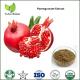 Pomegranate Extract,pomegranate extract powder,ellagic acid pomegranate extract