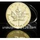 Canada Elizabeth Maple Leaf Uncirculated coin