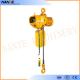 Industrial Electric Chain Hoist for Crane / Travelling Type / Fixed Type Electric Hoist