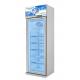 Classic Design Factory Wholesale Commercial Display Fridge -22 To -18