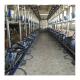 Electric goat Herringbone Milking Parlor with Automatic system