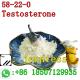 CAS:	58-22-0 Testoster one testred T estosterone testex testoderm Testosteron Orquisteron oreton Primoteston