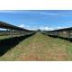 Ground Mounting Solar PV Plant Tracker System Galvanized Steel Brackets
