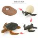 Green Sea Turtle Life Cycle Figure Model Toy For Boys Girls Kids