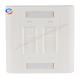 ABS Material RJ45 4 Port Faceplate UnShielded Wall Outlet Faceplate
