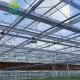 Custom Clear White Horticultural Glass Greenhouses For Cold Climates