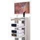 UHD 4K Medical Endoscope Camera System Tower DJSXJ-IIb