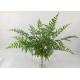 Artistic 62CM 12 Leaves Faux Fern Plants For Catering
