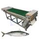 Fully automatic fish cutting machine electric slicer equipment fresh and dried fish slicer fish slicer