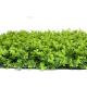 Indoor Outdoor Decorative Artificial Wall Plant Panels Washable Non Toxic