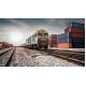 Custom Ocean Shipping International Freight Forwarder To United States Canada