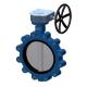 Low Temperature Media Customized API509 Cast Iron Lug Butterfly Valve with Lever
