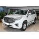 Gasoline 4WD Haval H9 2022 2.0T 7 Seats Medium Large Suv 8 AT