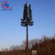 Hot Dipped 180km/H Tree Antenna Tower , Q235b Fake Pine Tree Cell Tower