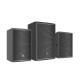 Portable PA Speaker System 300W 10 Inch Two-Way Passive Speaker