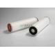 Nylon Micro Pleated Membrane Filter Cartridge Pharmaceuticals 0.22um 10