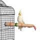 forage n play wood perch for birds,cockatiel and macaw,large