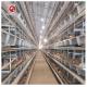 H Type Layer Chicken Cage Equipment 4 Tier 5 Tier Farm