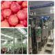 Multi Stage Filtration Apple Processing Equipment Cold Pressing