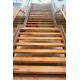 Luxury Gold Macaubas Quartzite Stairs(Treads/Rasiers)