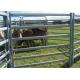 Iron Steel Cattle Fence Panel 42x115MM Tube Size For Protecting Horse